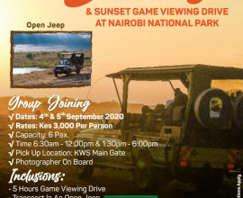Nairobi National park tour with open jeep 4*4
