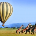 Masai Mara Joining Safari 3 Days