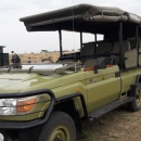 Open 4×4 landcrusier safari hire in masai mara