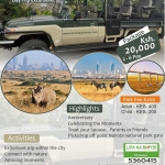 Nairobi National Park Half-Day Tour with 4×4 safari jeep