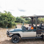 Nairobi park open jeep transport experiences